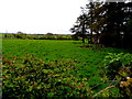 Moylagh Townland