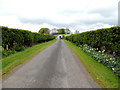 Neat hedges and verges, Moylagh