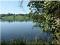 Gatton Hall seen across The Lake