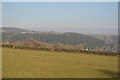 Field by Tamar Valley Line