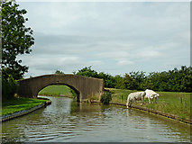 SP5267 : Roy's Bridge north-east of Willoughby in Warwickshire by Roger  D Kidd