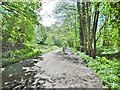 Alton, railway trackbed