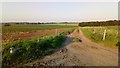 Farm Track And Irrigation Piping