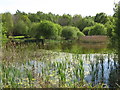 Small lake on Littleworth Common