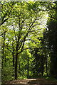 Car park, Ashclyst Forest