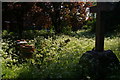 Churchyard of St Thomas the Martyr, Oxford