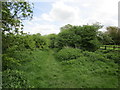 Footpath to Wymondham Drift