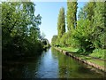 Rushall Canal, on a spring morning