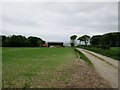 Access  track  to  Toisland  Farm