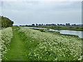 Queenborough Lines