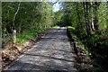 Ascending the Narrow Lane beside Drumbuie Burn