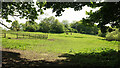 Pasture near Lower Bowden