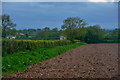 East Devon : Ploughed Field