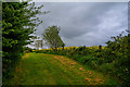 East Devon : Grassy Field