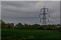 East Devon : Grassy Field