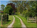 Lane leading to Brimfield Common