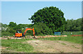 Digging north of Forest Road