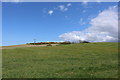 Farmland at Penkill