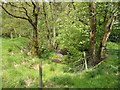 Footpath crossing Black Brook