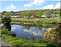 Houses in Quayside Close overlooking the Newry Ship Canal 