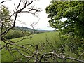 View from the footpath near Further Harrop Farm