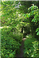 Path, Warberry Copse