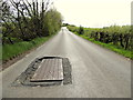 Loose cover along Loughmacrory Road