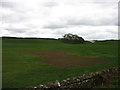 Farmland beside the A6