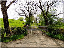 H5375 : Gate and lane, Drumnakilly by Kenneth  Allen