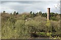 Looking across the Tyne to Wylam Pumping Station