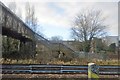 Footbridge over railway line, Norbury