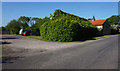 Watering Dyke Houses on Hall Lane