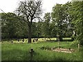 Stoke (Hartshill) Cemetery (13)