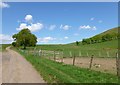 Old drove road north of Skirling