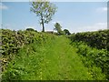 Middle Chinnock, footpath