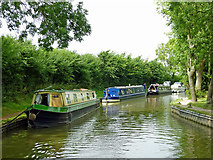 SP5366 : Oxford Canal moorings at Braunston in Northamptonshire by Roger  D Kidd