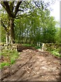 Gateway to Bargeat Wath Plantation