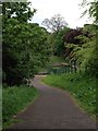 Path into Castlemilk Park