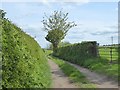 Farm road south of Lazonby