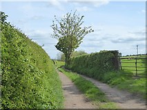NY5539 : Farm road south of Lazonby by Oliver Dixon