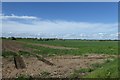 Farmland off Gowdall Lane