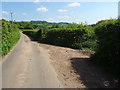 Country lane from Cwmyoy to Queen