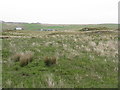 Looking north towards Kelsay