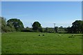 Farmland beside Hirst Road