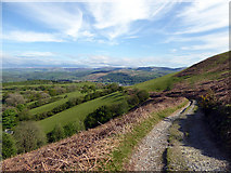 SH7302 : The road down to Machynlleth by John Lucas