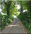 Lane with trees, Perkin