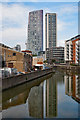 St Thomas Creek, Bow Back Rivers, near Stratford