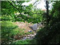 Milldown Burn above Milldown