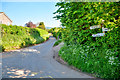 East Nynehead : Country Lane