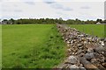 Unusual Dry Stone Walling at Newmore